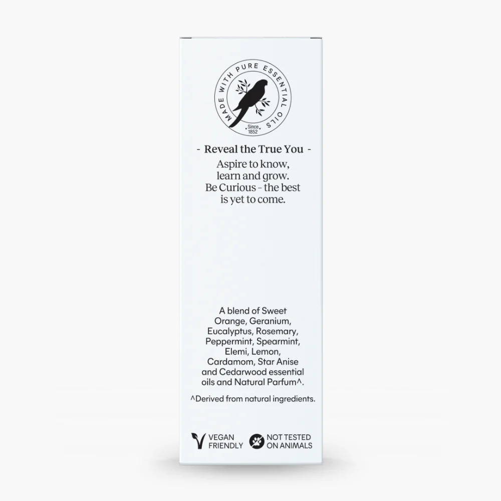 Curious Diffuser Oil 10mL - Image 6